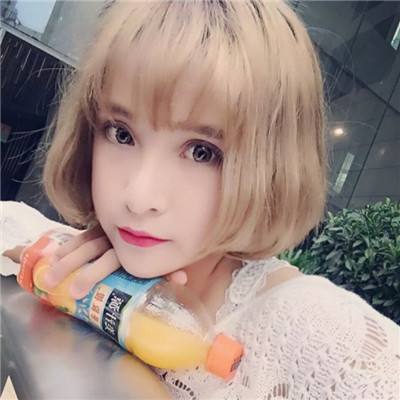 职业棒球h2游戏下载